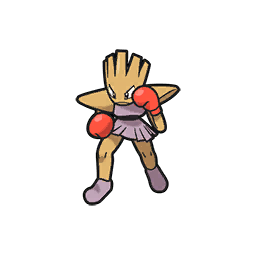 /pokemon/107