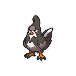 Front Female