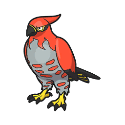 Front Female