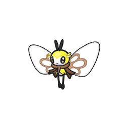 Front Female