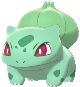 Front Female