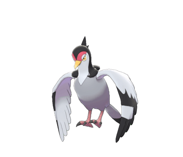Front Female
